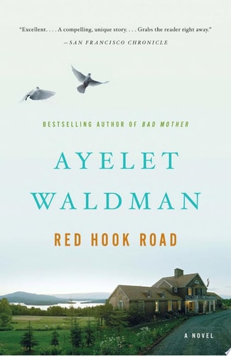 Ayelet Waldman - Red Hook Road