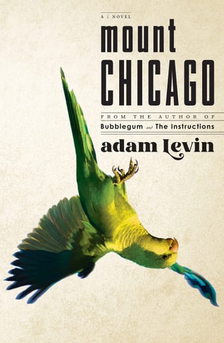 Adam Levin - Mount Chicago A Novel