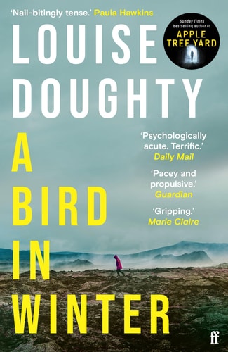 Louise Doughty - A Bird in Winter