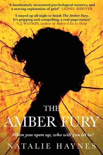 Natalie Haynes - Amber Fury