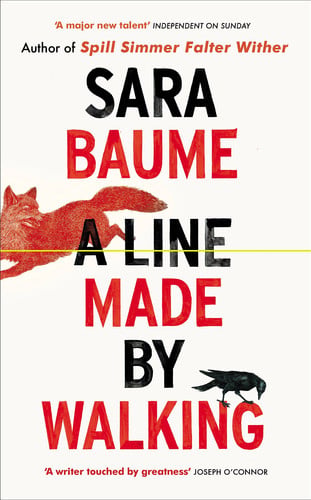 Sara Baume - A Line Made by Walking