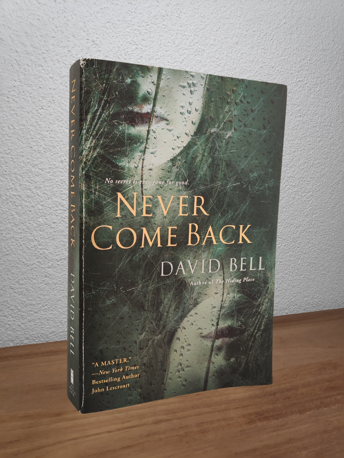 David Bell - Never Come Back
