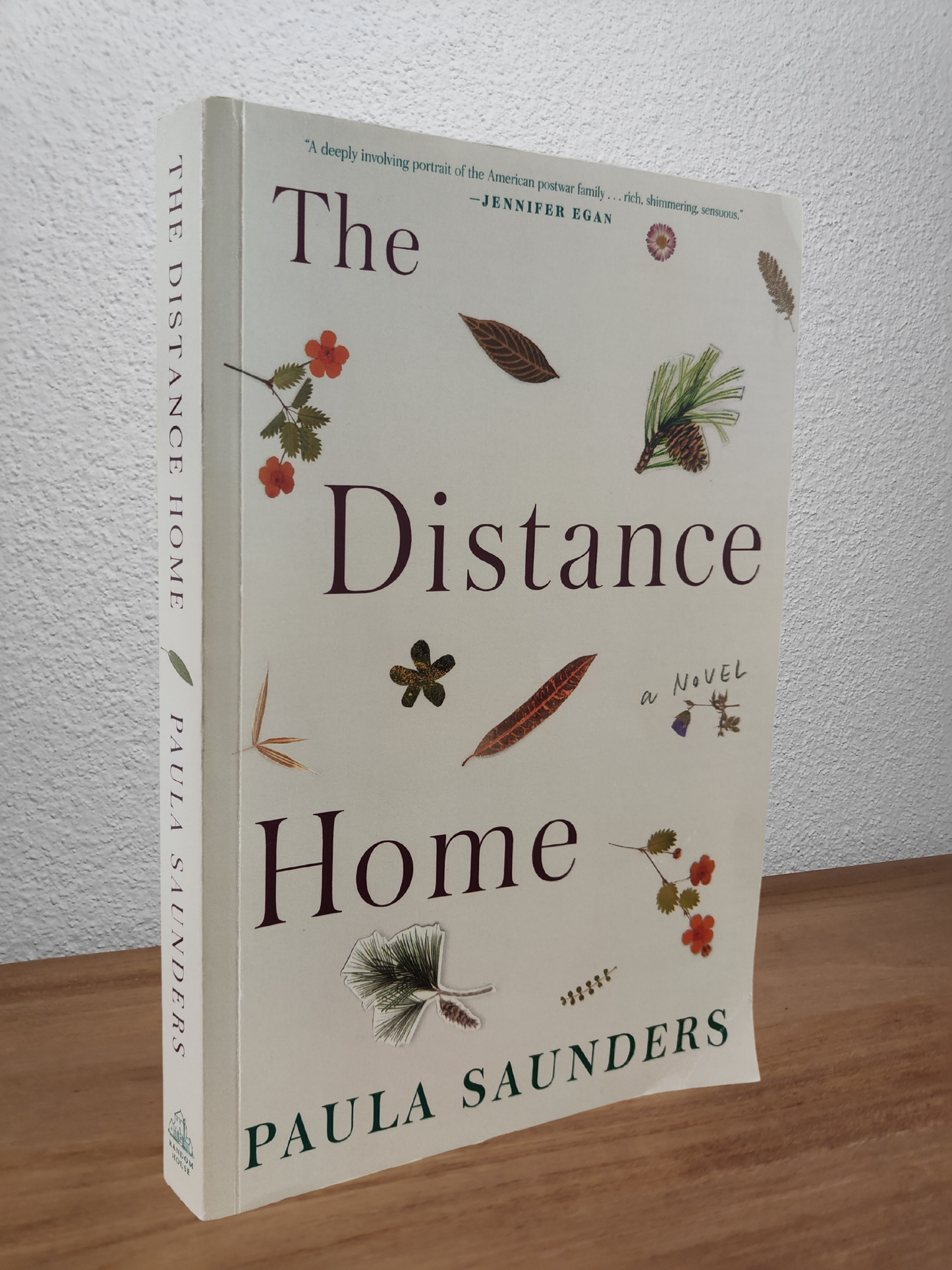 Paula Saunders - The Distance Home