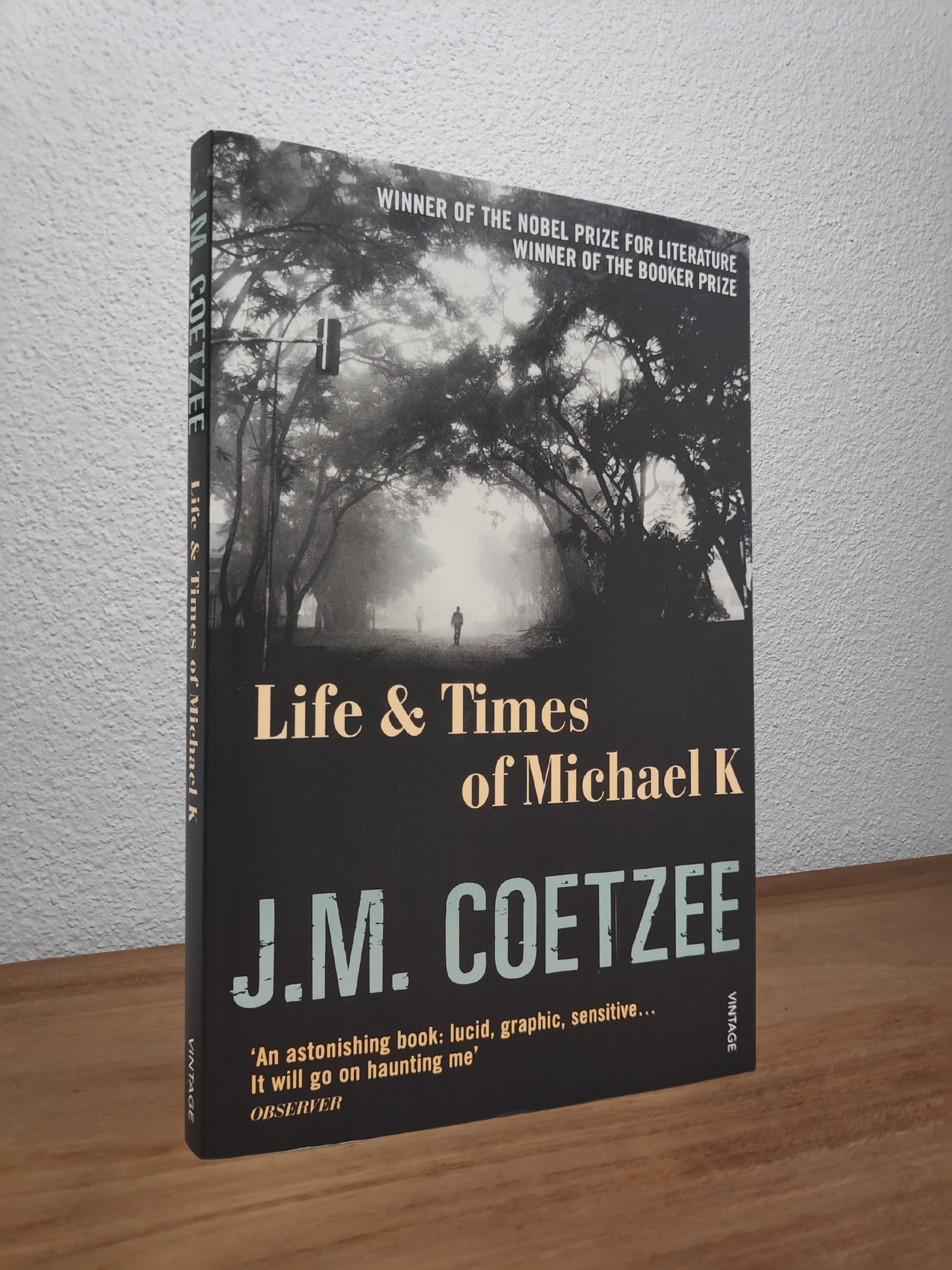 J. M. Coetzee - Life & Times of Michael K