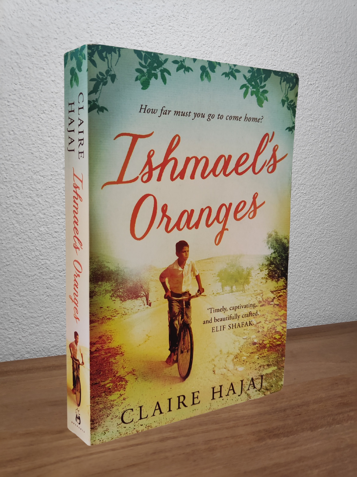 Claire Hajaj - Ishmael's Oranges