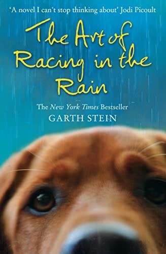 Garth Stein - the art of racing in the rain: a novel. garth stein