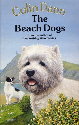 Colin Dann - The Beach Dogs
