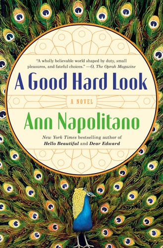 Ann Napolitano - A Good Hard Look A Novel