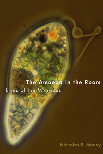 Nicholas P. Money - The Amoeba in the Room: Lives of the Microbes