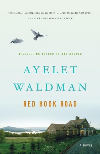 Ayelet Waldman - Red Hook Road