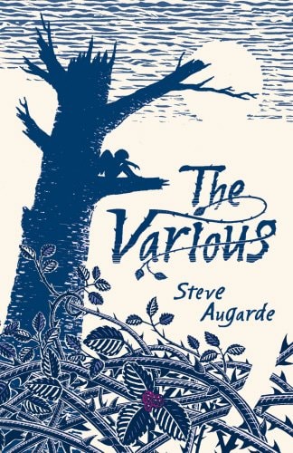 Steve Augarde - The Various