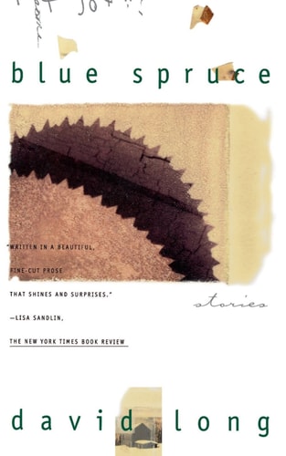 David Long - Blue Spruce Stories