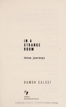 Galgut, Damon - In a Strange Room: Three Journeys