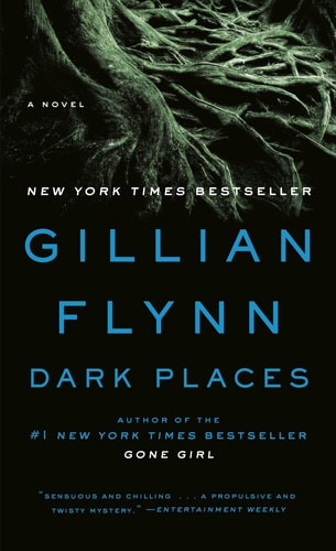 Gillian Flynn - Dark Places