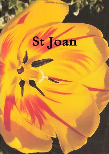 Bernard Shaw - St Joan