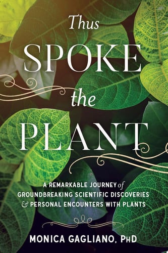 Monica Gagliano - Thus Spoke the Plant A Remarkable Journey of Groundbreaking Scientific Discoveries and Personal Encounters with Plants