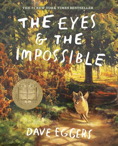 Eggers, Dave - The eyes and the impossible