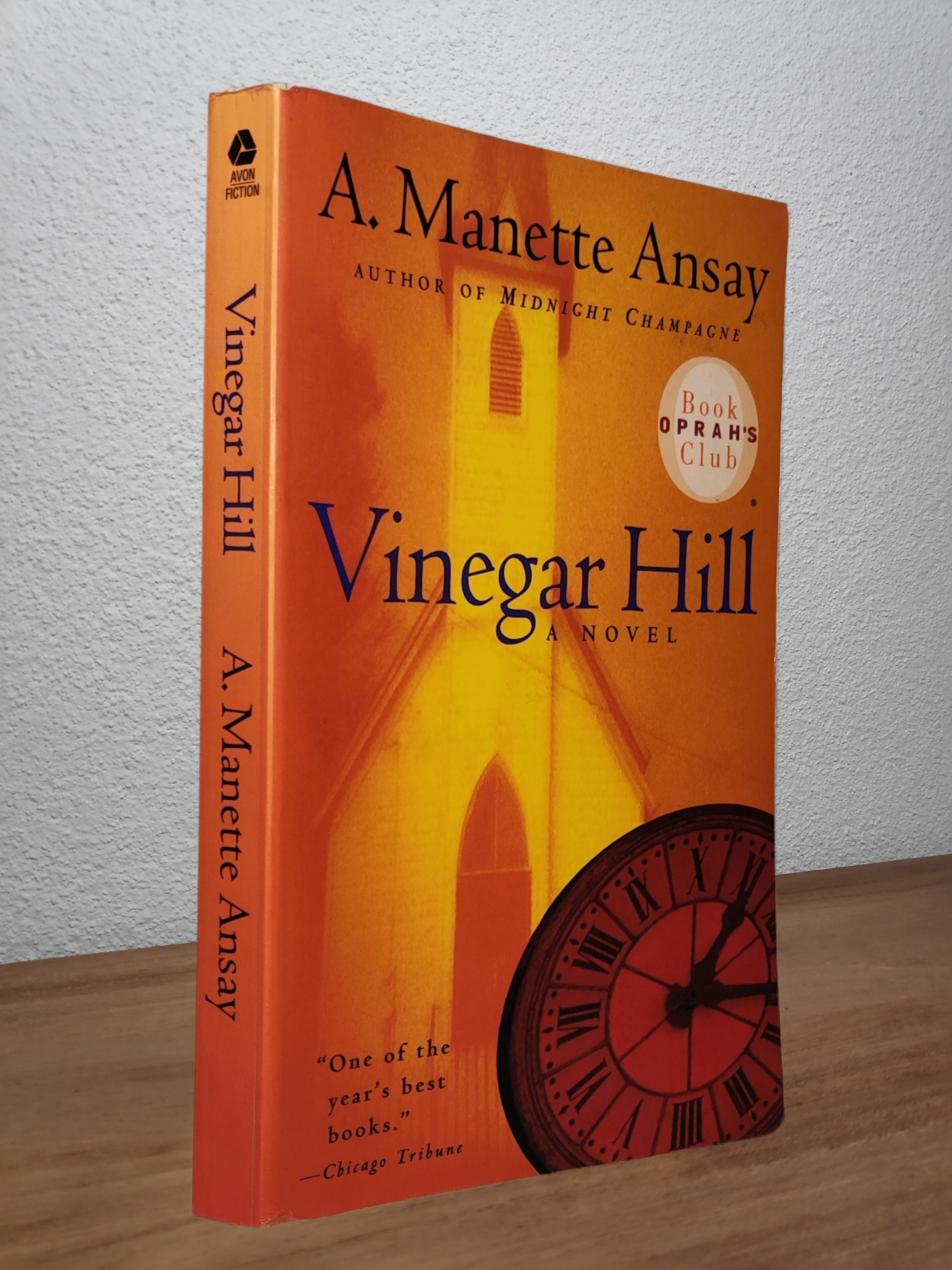 A. Manette Ansay - Vinegar Hill  - Second-hand english book to deliver in Zurich & Switzerland