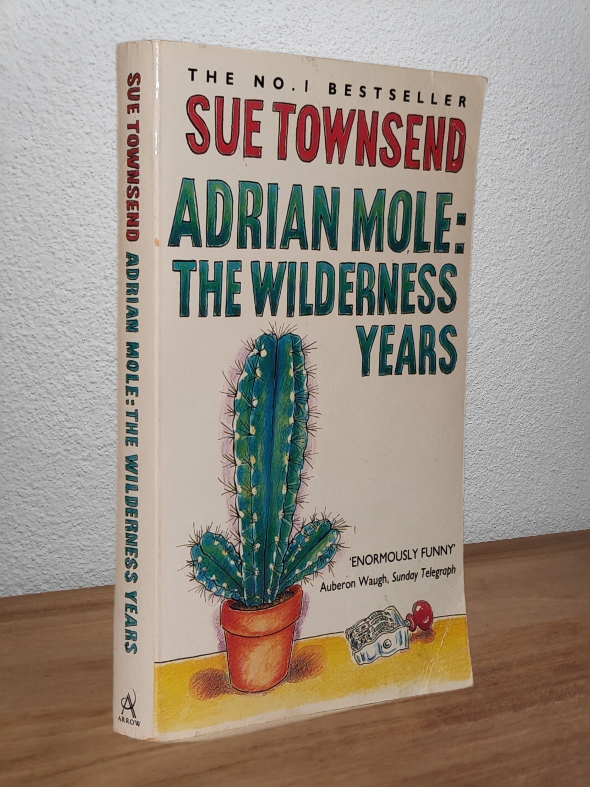 Sue Townsend - Adrian Mole: The Wilderness Years - Second-hand english book to deliver in Zurich & Switzerland